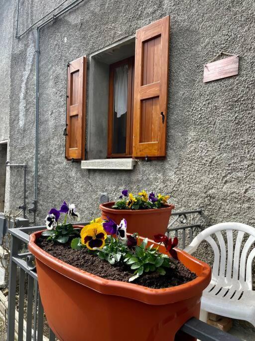 Casa Vacanze Ca' Di Lucchini San Benedetto Val di Sambro Luaran gambar