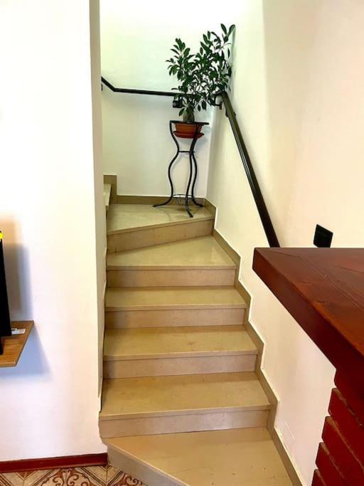 Casa Vacanze Ca' Di Lucchini San Benedetto Val di Sambro Luaran gambar
