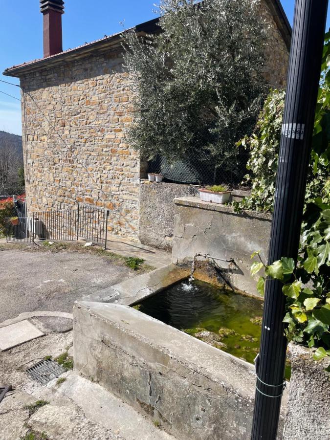 Casa Vacanze Ca' Di Lucchini San Benedetto Val di Sambro Luaran gambar